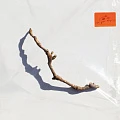 PJ HARVEY — I INSIDE THE OLD YEAR DYING