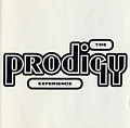 PRODIGY — EXPERIENCE