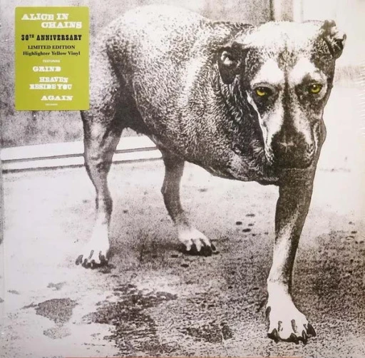 Виниловая пластинка ALICE IN CHAINS ALICE IN CHAINS 