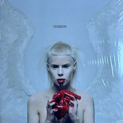 Виниловая пластинка DIE ANTWOORD TEN$ION