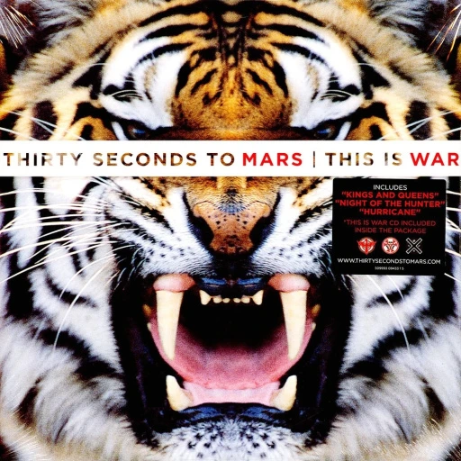 Виниловая пластинка 30 Seconds To Mars This Is War