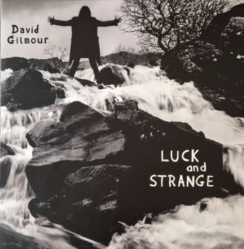 Виниловая пластинка DAVID GILMOUR Luck and Strange