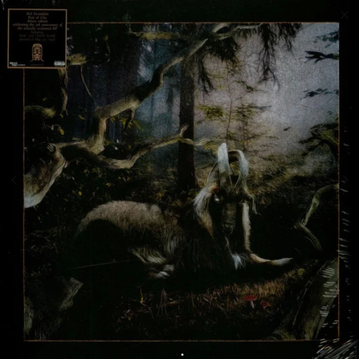 R-32418867-1737403573-6930