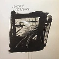 IGGI POP — EVERY LOSER