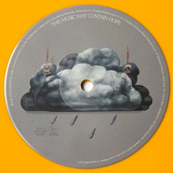 Виниловая пластинка RAYE THIS MUSIC MAY CONTAIN HOPE