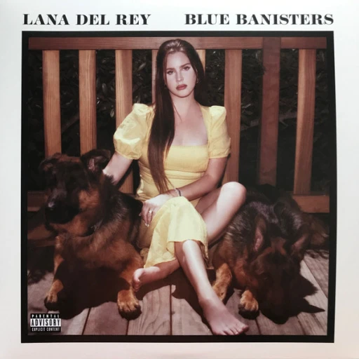 Виниловая пластинка LANA DEL REY BLUE BANISTERS