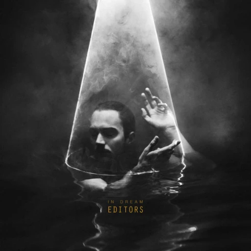Виниловая пластинка EDITORS IN DREAM