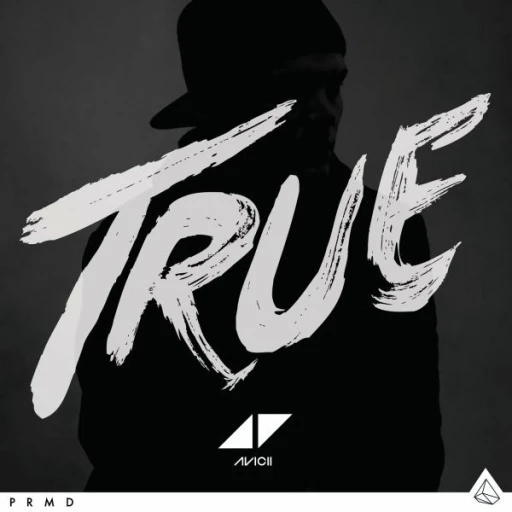 Виниловая пластинка AVICII TRUE