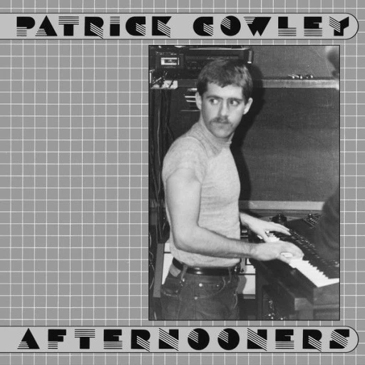 Виниловая пластинка PATRICK COWLEY AFTERNOONERS