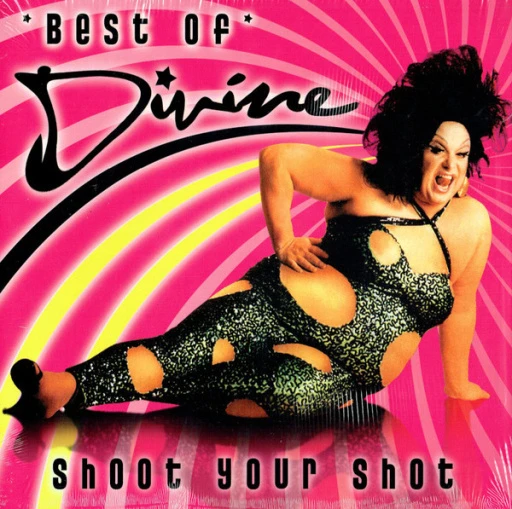 Виниловая пластинка DIVINE SHOOT YOUR SHOT - BEST OF