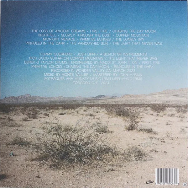 Виниловая пластинка LOS DAYS DUSTY DREAMS