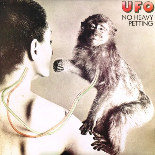 Виниловая пластинка UFO No Heavy Petting