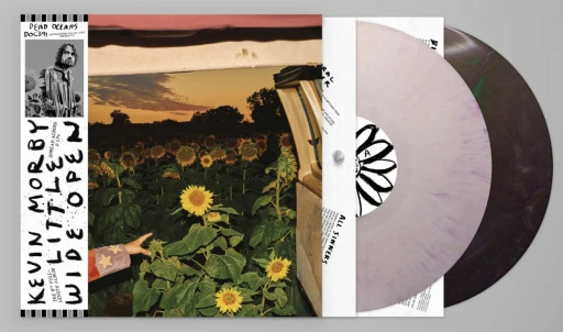 KEVIN_MORBY_LITTLE_WIDE_OPEN