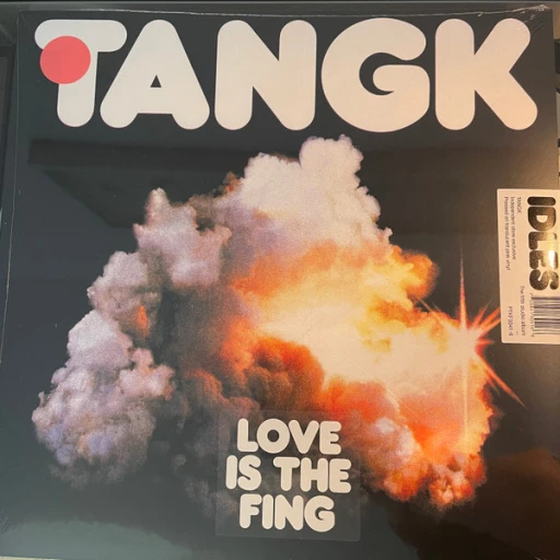 Виниловая пластинка IDLES TANGK