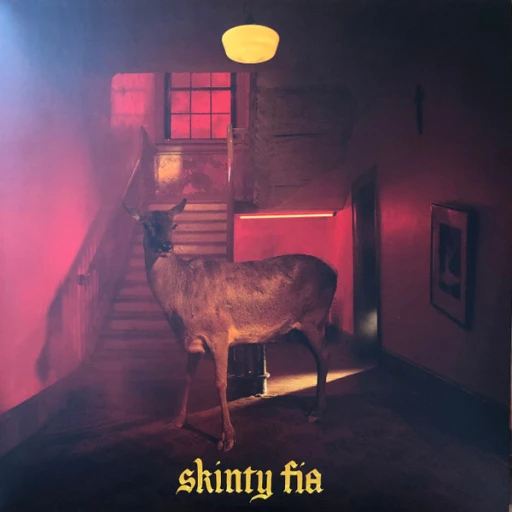 Виниловая пластинка FONTAINES D.C. SKINTY FIA