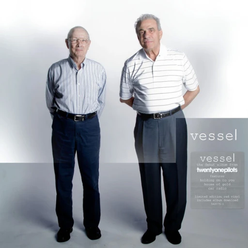 Виниловая пластинка TWENTY ONE PILOTS VESSEL