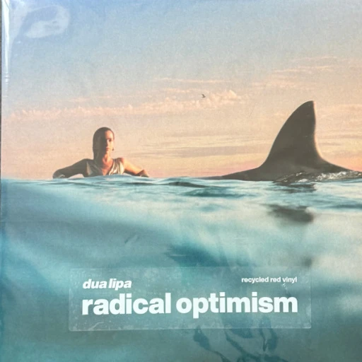 Виниловая пластинка DUA LIPA RADICAL OPTIMISM