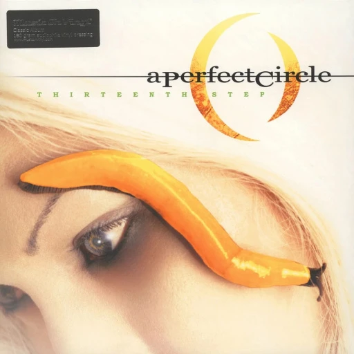 Виниловая пластинка A PERFECT CIRCLE THIRTEENTH STEP
