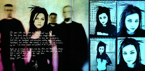 Виниловая пластинка EVANESCENCE FALLEN