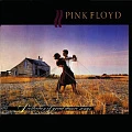 PINK FLOYD — A COLLECTION OF GREAT DANCE