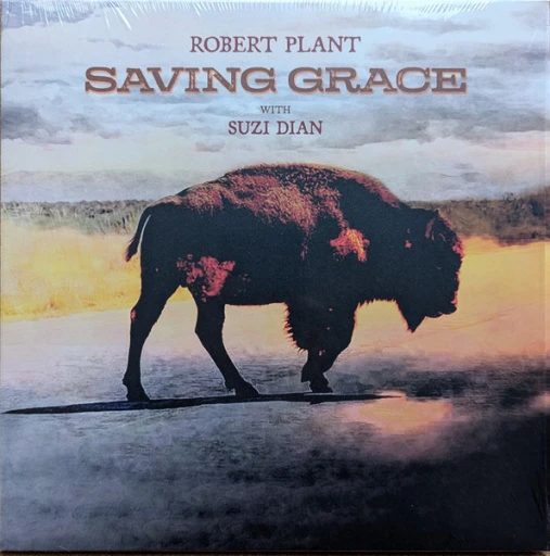 Виниловая пластинка ROBERT PLANT SAVING GRACE