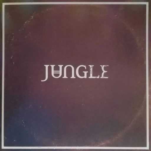 Виниловая пластинка JUNGLE SUNSHINE BLACK VINYL EDITION