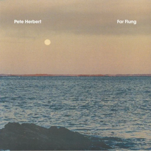 Виниловая пластинка PETE HERBERT FAR FLUNG