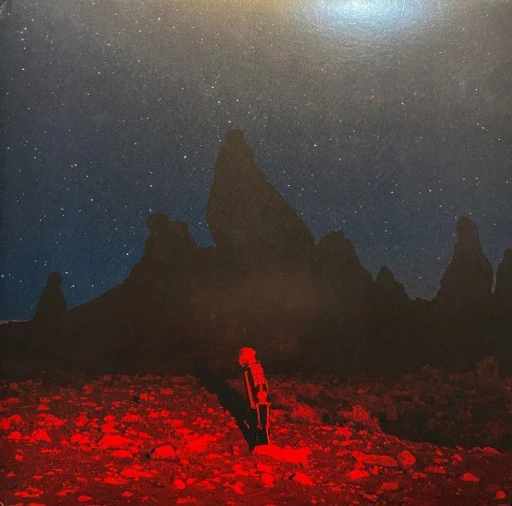 Виниловая пластинка PHOEBE BRIDGERS PUNISHER BLACK VINYL EDITION
