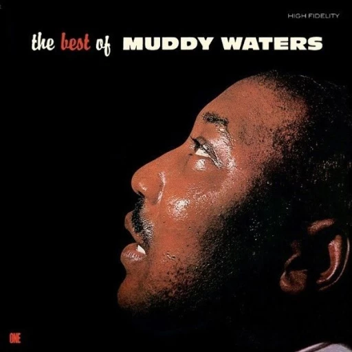 Виниловая пластинка MUDDY WATERS THE BEST OF MUDDY WATERS