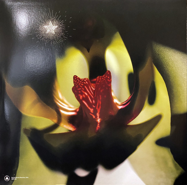 R-31378811-1724165166-1834