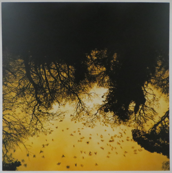 R-9261492-1477564912-1379