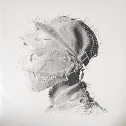 Виниловая пластинка WOODKID THE GOLDEN AGE