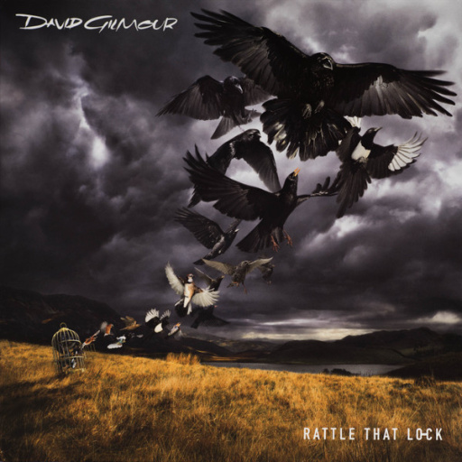 Виниловая пластинка DAVID GILMOUR RATTLE THAT LOCK