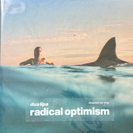 Виниловая пластинка DUA LIPA RADICAL OPTIMISM