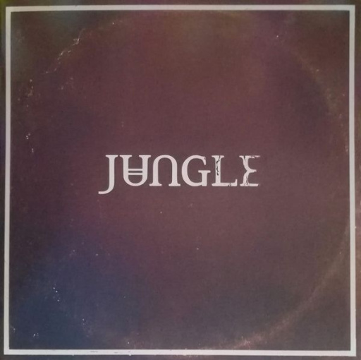 Виниловая пластинка JUNGLE SUNSHINE BLACK VINYL EDITION
