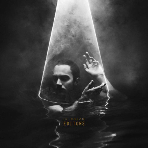 Виниловая пластинка EDITORS IN DREAM