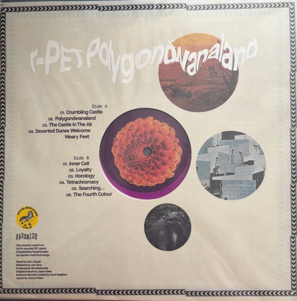 Виниловая пластинка KING GIZZARD & THE LIZARD WIZARD POLYGONDWANALAND