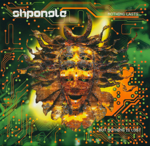 Виниловая пластинка SHPONGLE NOTHING LASTS... BUT NOTHING IS LOST