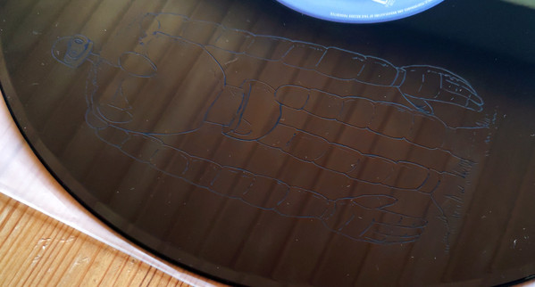 R-21101269-1647206408-8478