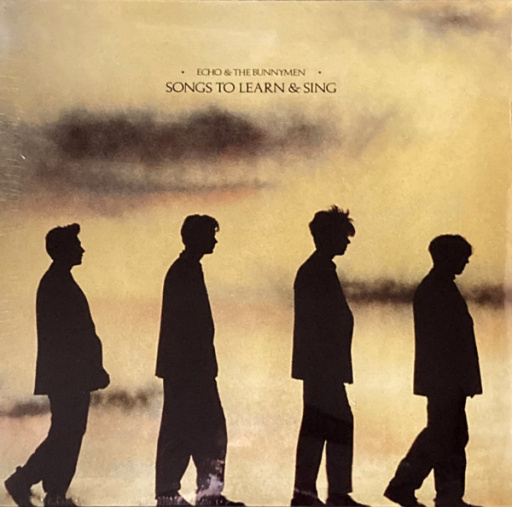 Виниловая пластинка ECHO AND THE BUNNYMEN SONGS TO LEARN & SING