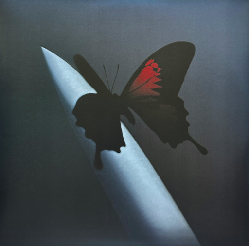 R-26089582-1759397988-7761