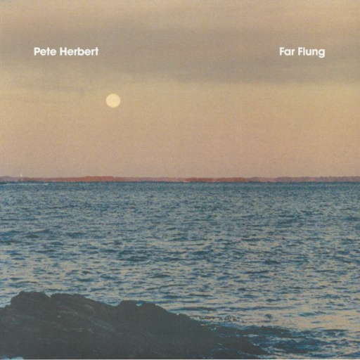 Виниловая пластинка PETE HERBERT FAR FLUNG