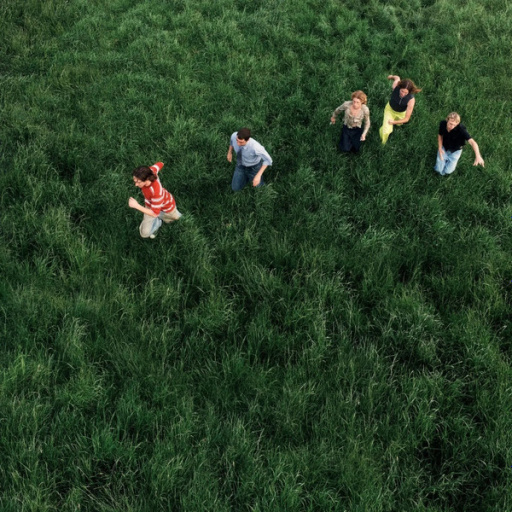 Виниловая пластинка PARCELS LOVED