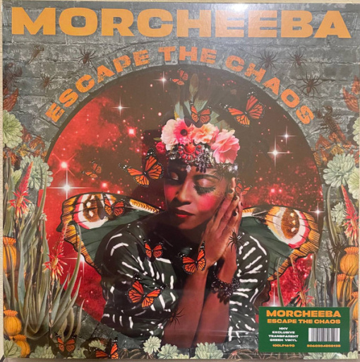 R-34073995-1748282931-6946