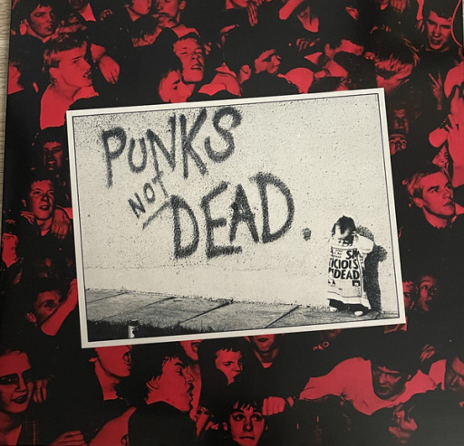Виниловая пластинка EXPLOITED PUNKS NOT DEAD