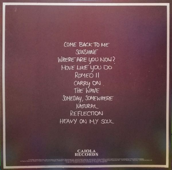 Виниловая пластинка JUNGLE SUNSHINE BLACK VINYL EDITION