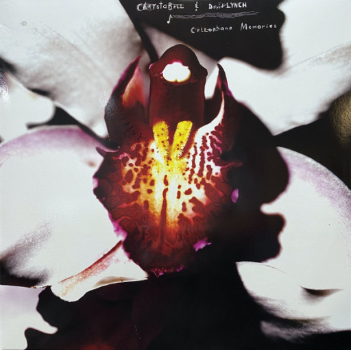 R-31378811-1724165166-1423